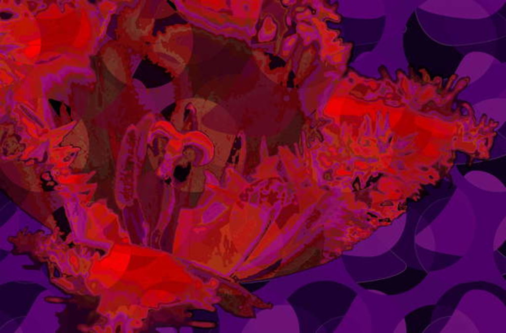 Detail of Red Tulip, 2010 by Scott J. Davis