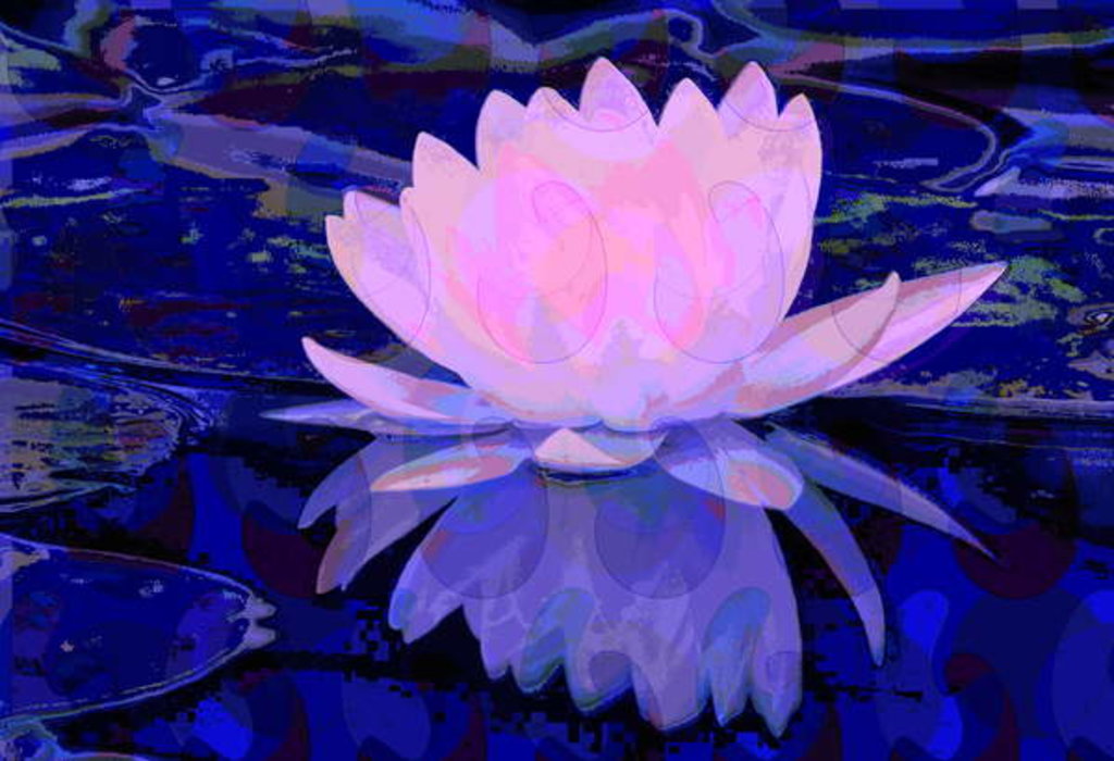 Detail of Pink Water Lily, 2011 by Scott J. Davis