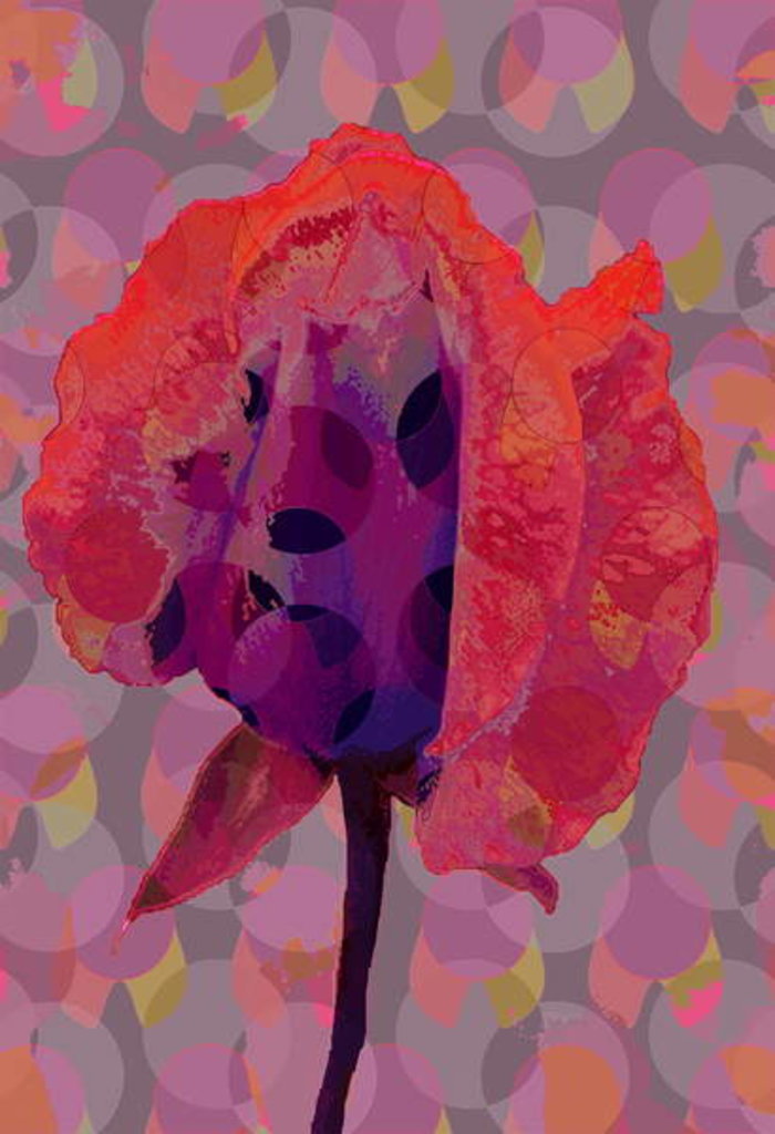 Detail of Tea Rose 3, 2010 by Scott J. Davis