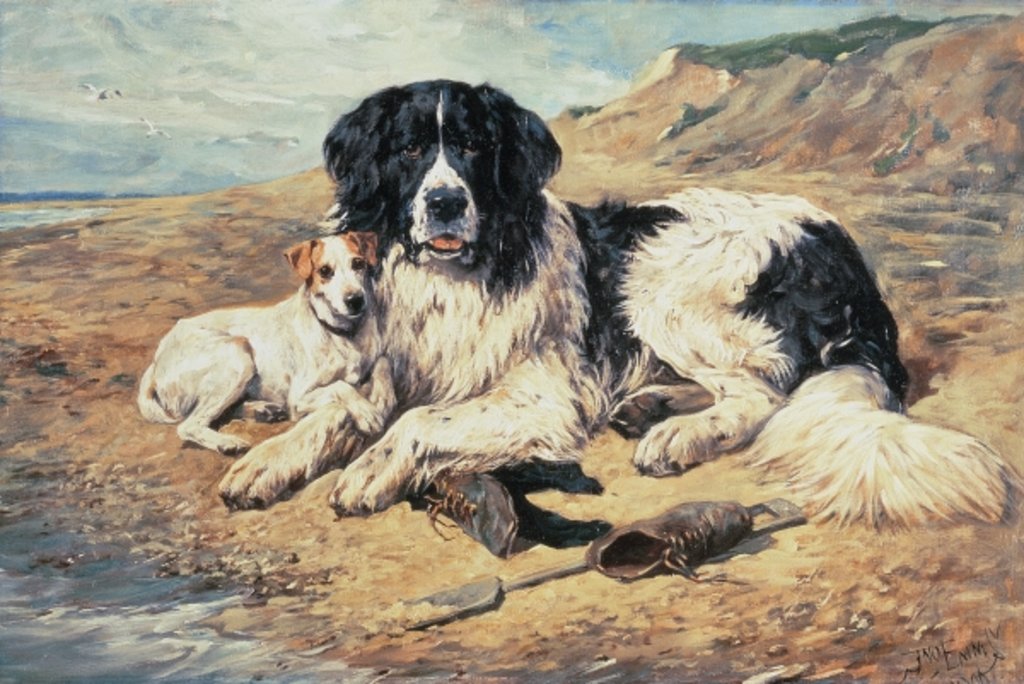 Detail of Dogs Watching Bathers, 1900 by John Emms