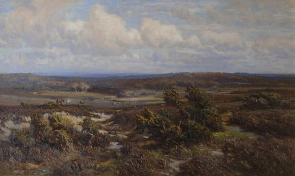 Detail of New Forest by Frederik Golden Short