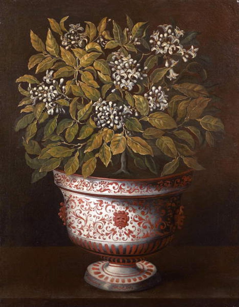Detail of Terracotta Vase with an Orange Bush in Flower by Thomas Hiepes