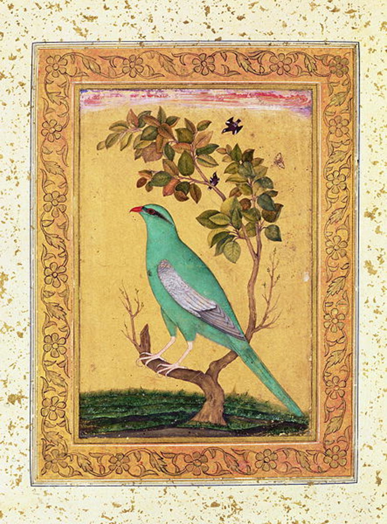 Detail of Green Bird, Mughal by Indian School