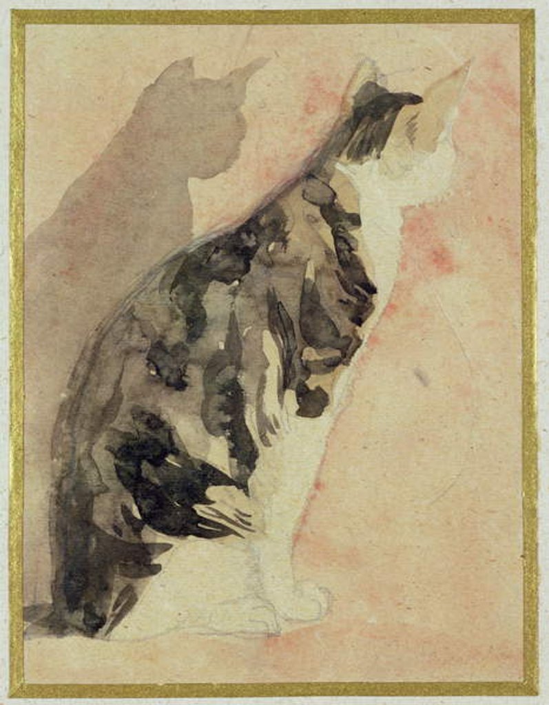 Detail of Study of a Cat by Gwen John