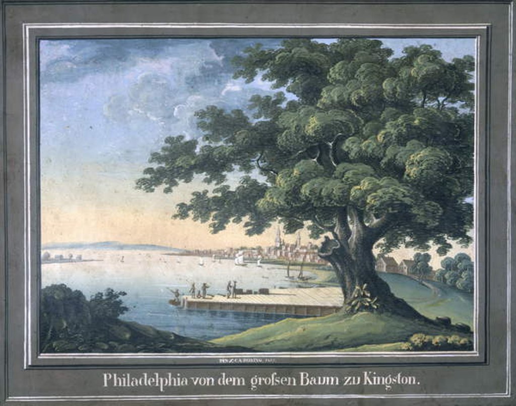 Detail of The Great Tree of Kingston with a view of Philadelphia behind by C.A. During