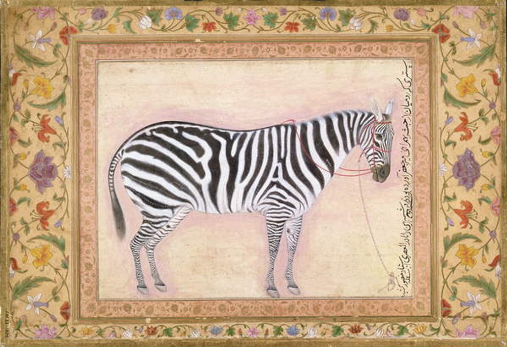 Detail of Zebra by Mansur