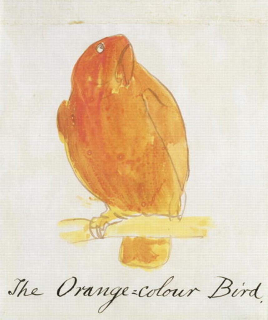 Detail of The Orange Colour Bird by Edward Lear