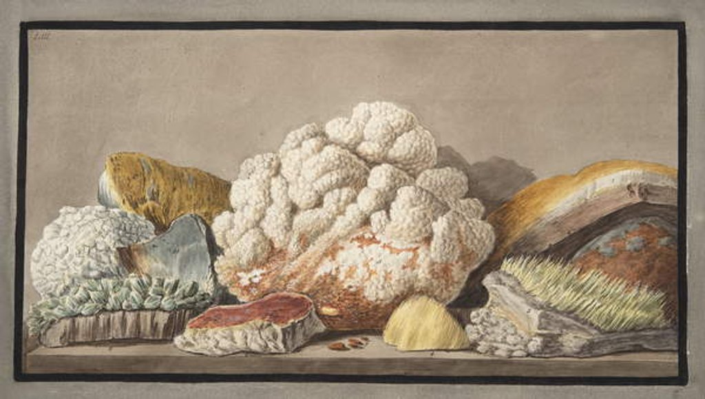 Detail of Productions of the Solfaterra by Pietro Fabris