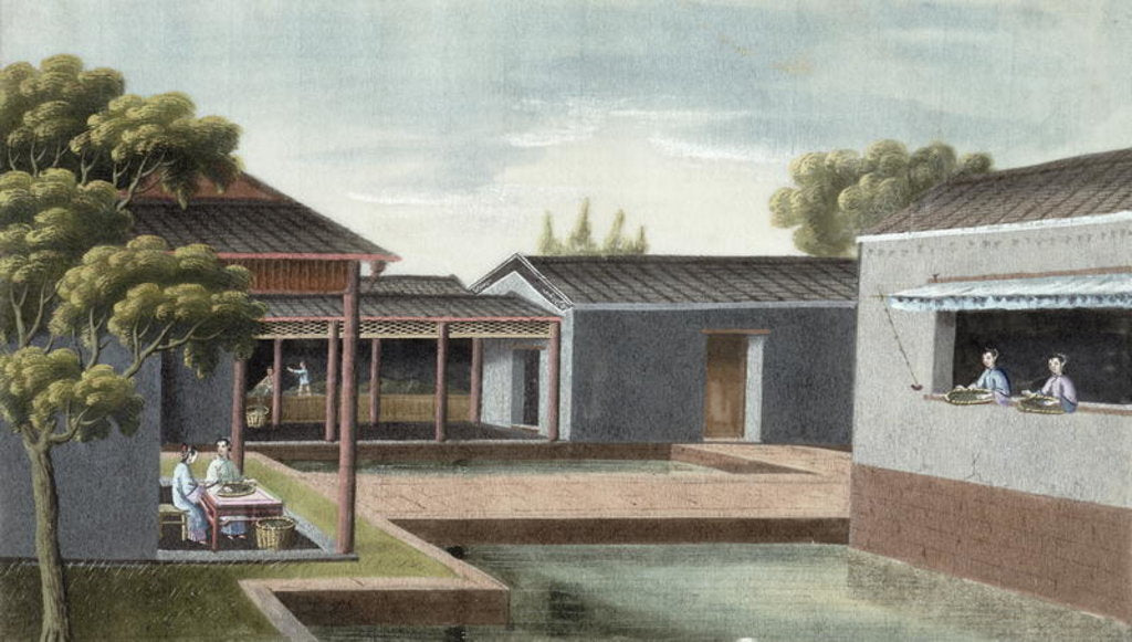 Detail of Sorting tea by School Chinese