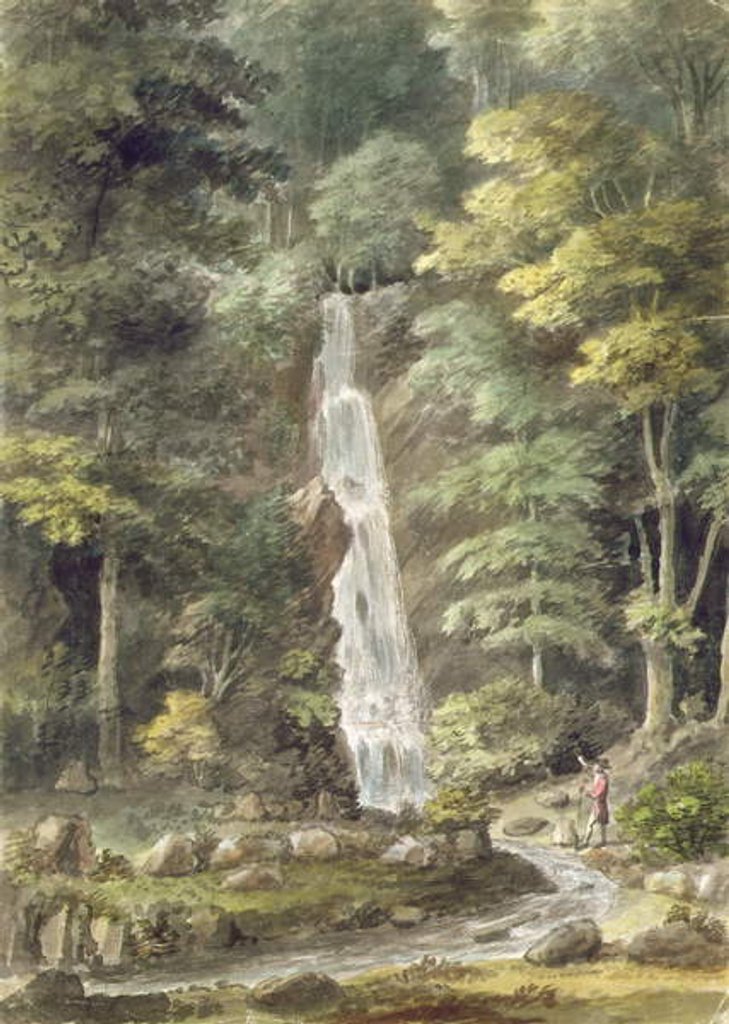Detail of The Cascade Waterfall at Hestercombe Gardens by English School