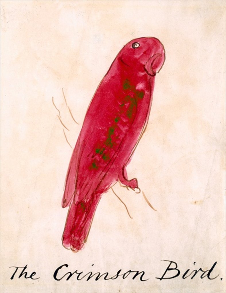 Detail of The Crimson Bird by Edward Lear