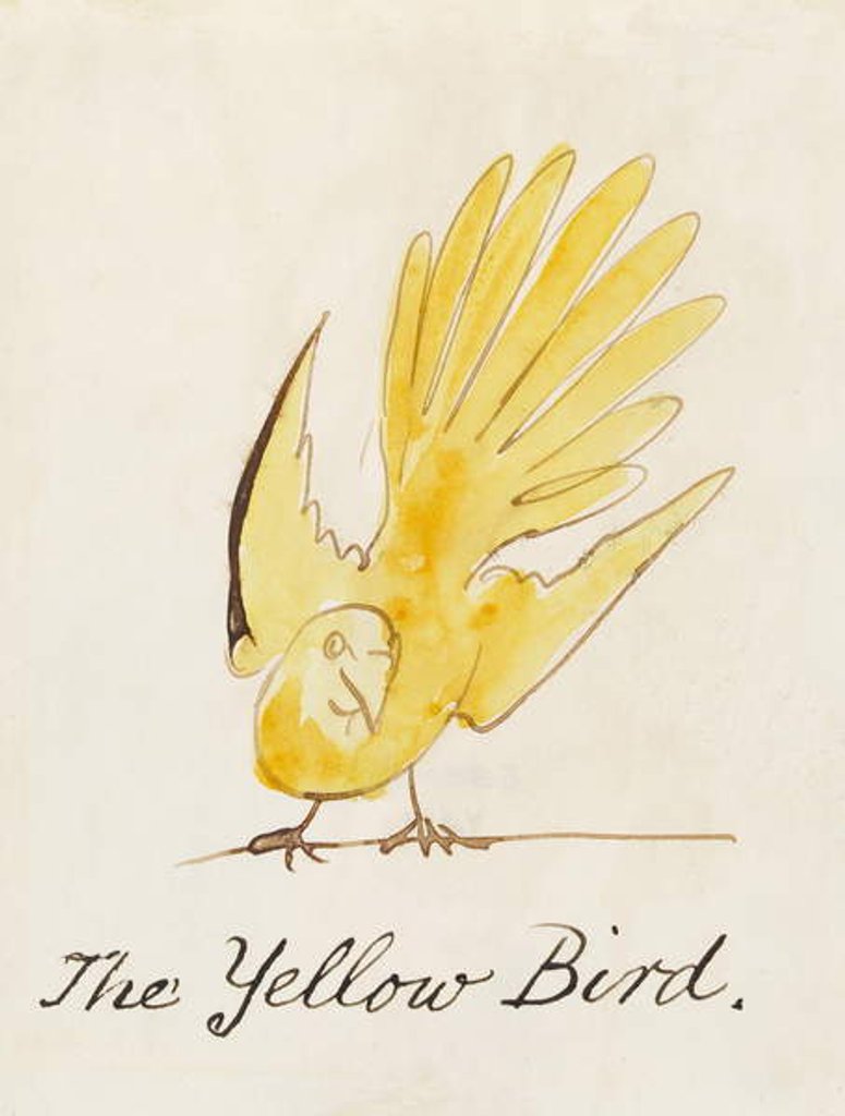 Detail of The Yellow Bird by Edward Lear