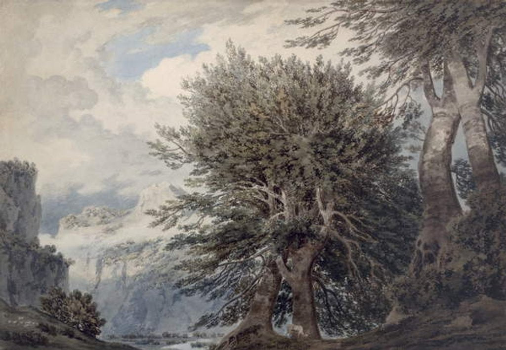 Detail of Mountainous Landscape with Beech Trees, 1792 by John Robert Cozens