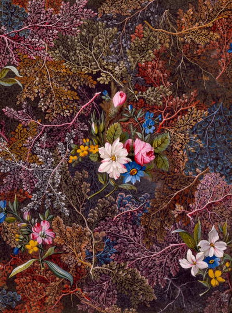 Detail of Textile design, c.1788-92 by William Kilburn