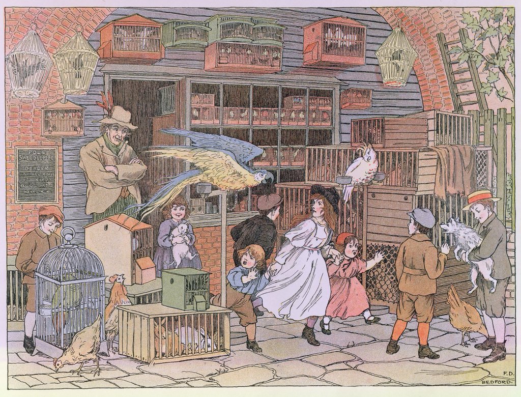 Detail of The Pet Shop by Francis Donkin Bedford