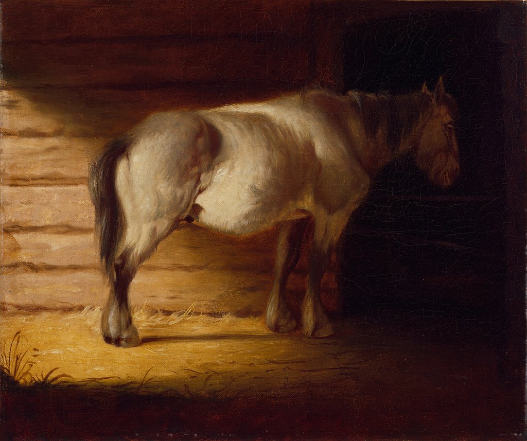 Detail of Old Field Horse, by 1856 by George Caleb Bingham