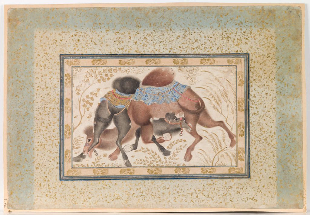 Detail of Two Camels Fighting by Anonymous