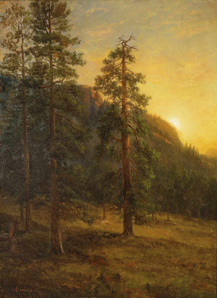 Detail of California Redwoods, 1872 by Albert Bierstadt