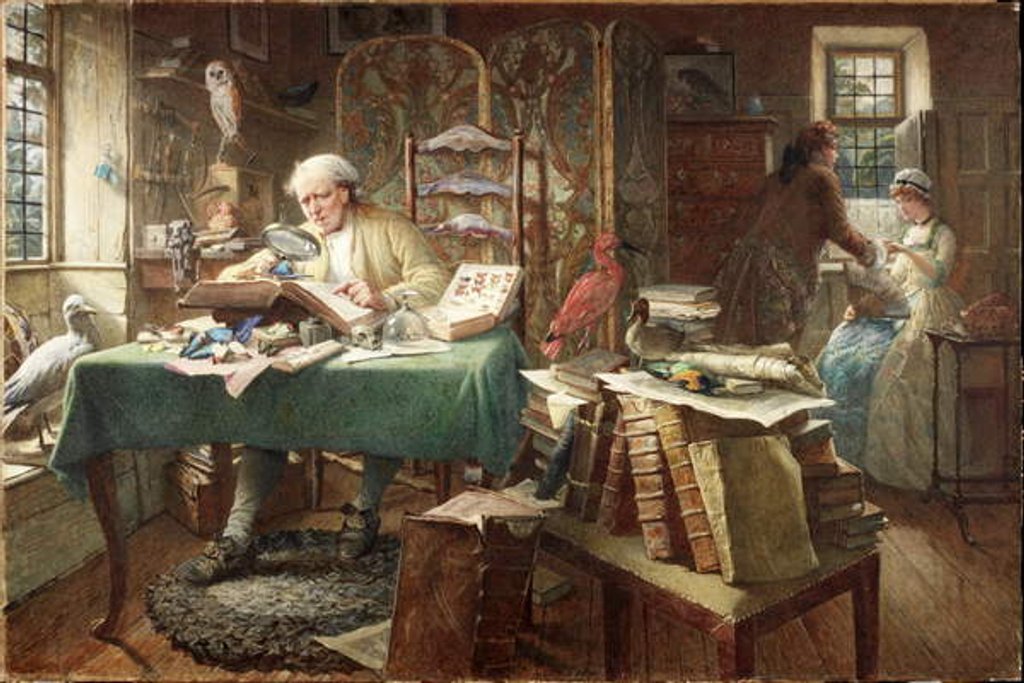 Detail of Grubs and Butterflies, or The Naturalist by Charles J. Staniland