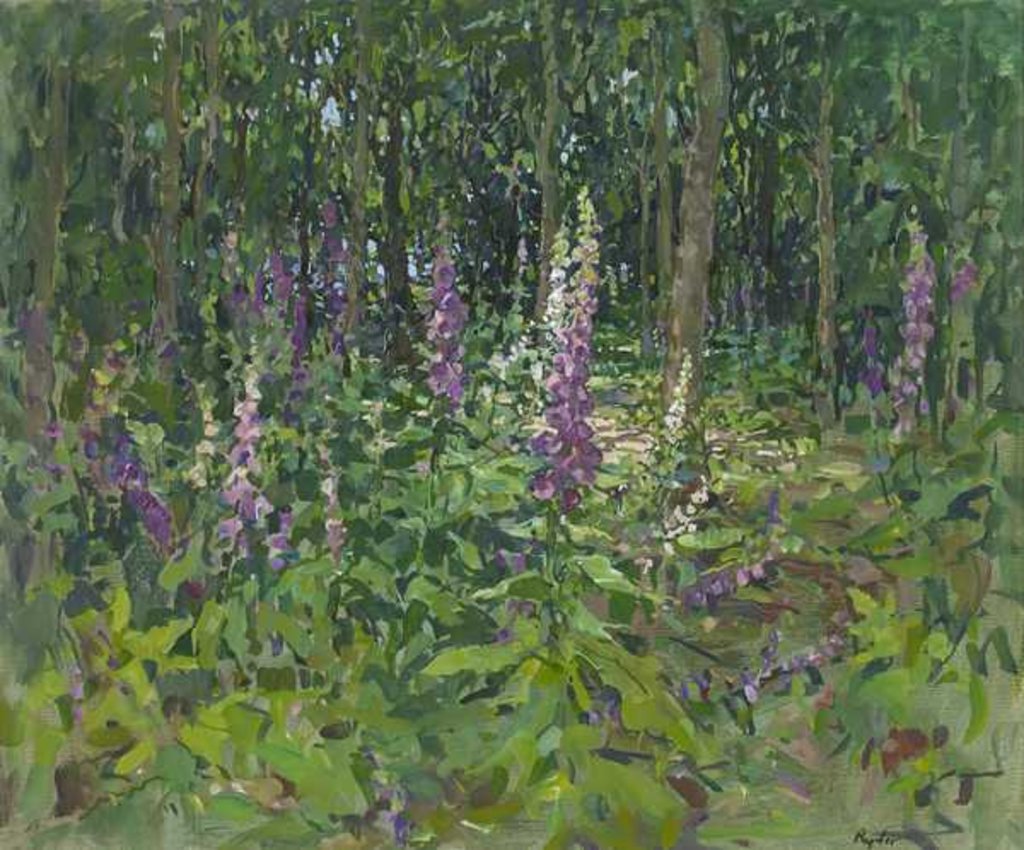 Detail of Foxgloves by Susan Ryder