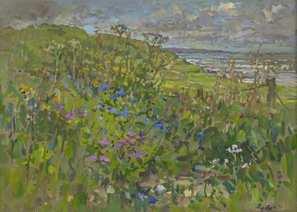 Detail of Headland Flowers near Berwick by Susan Ryder