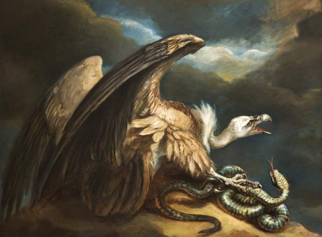 Detail of Vulture and Snake, 1798 by James Northcote