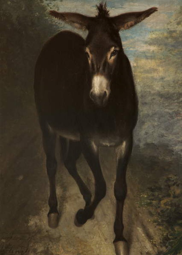 Detail of A Sicilian Ass by Benjamin Robert Haydon