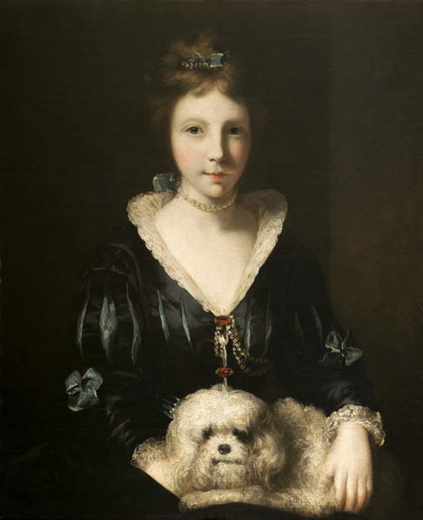 Detail of Miss Lister by Joshua Reynolds (after)