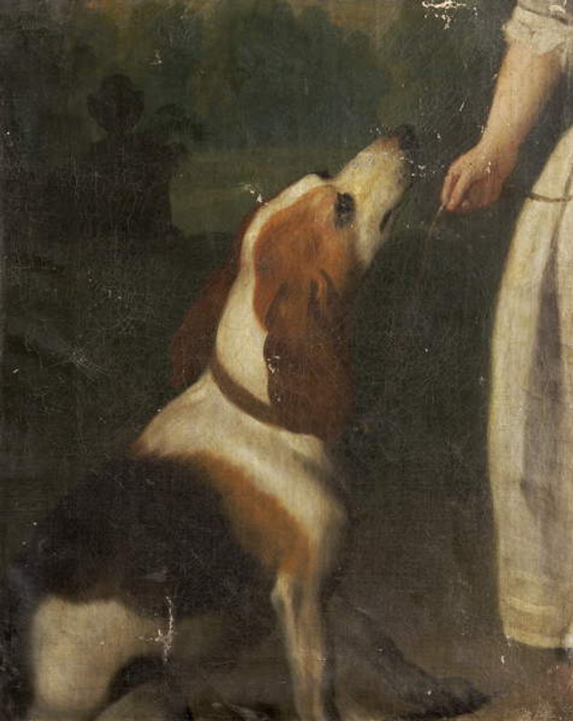 Detail of A Hound by School English