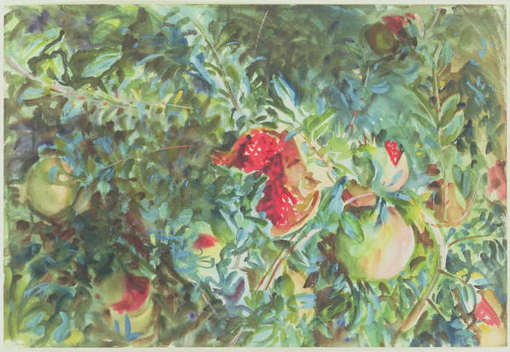 Detail of Pomegranates, 1908 by John Singer Sargent