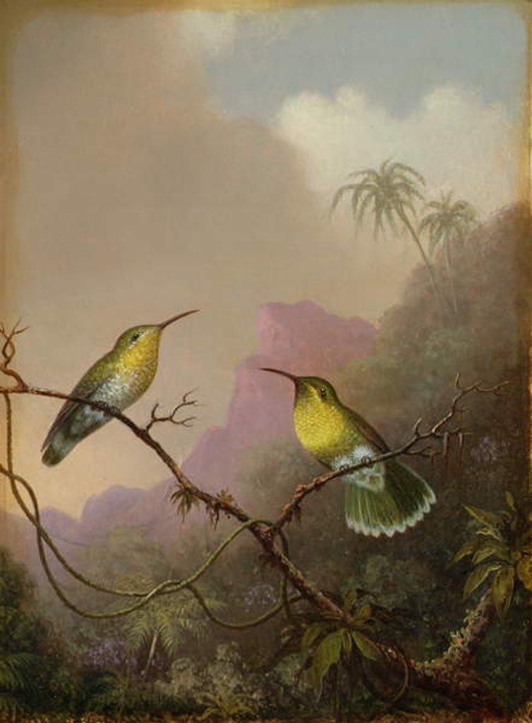 Detail of Two Hummingbirds, c.1865-75 by Martin Johnson Heade