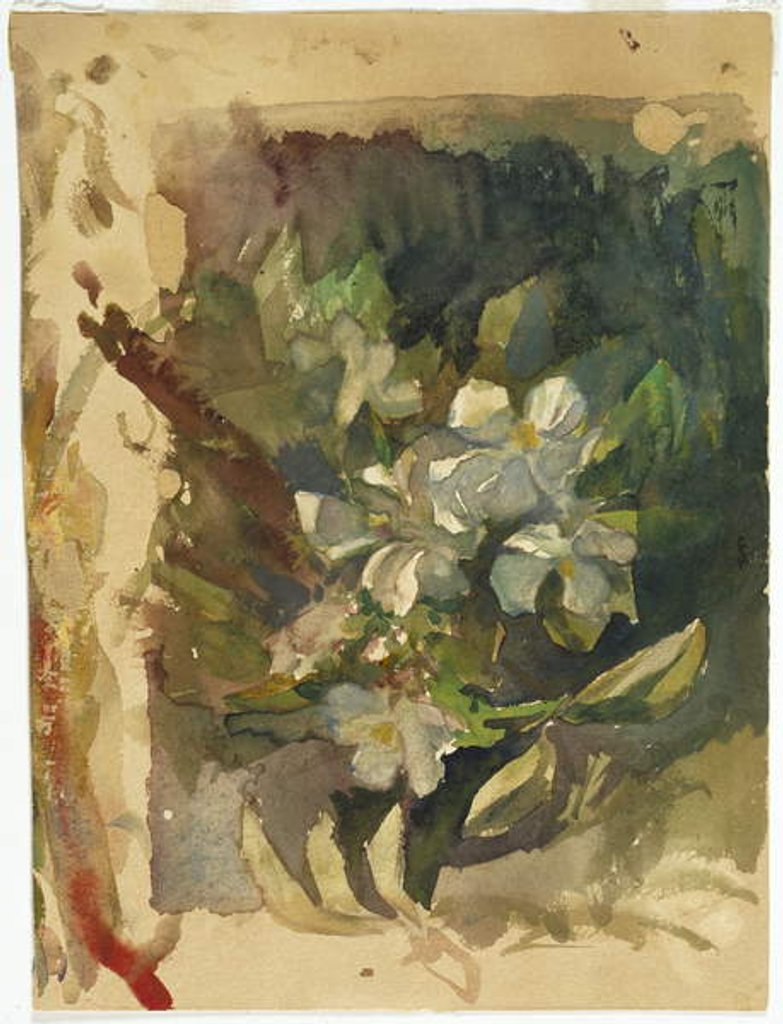Detail of Apple Blossoms in Sunlight by John La Farge or Lafarge