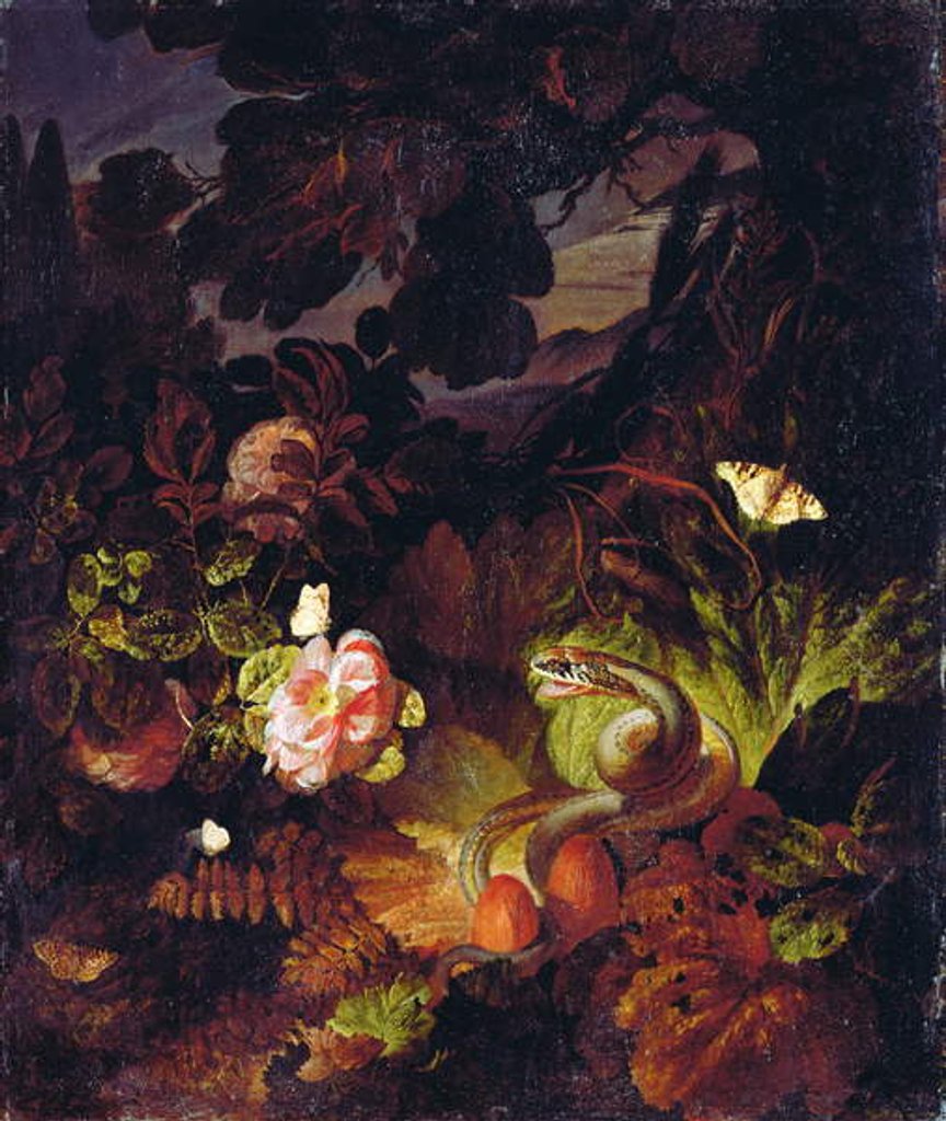 Detail of Flowers, Snake and Butterflies by Otto Marseus van Schrieck