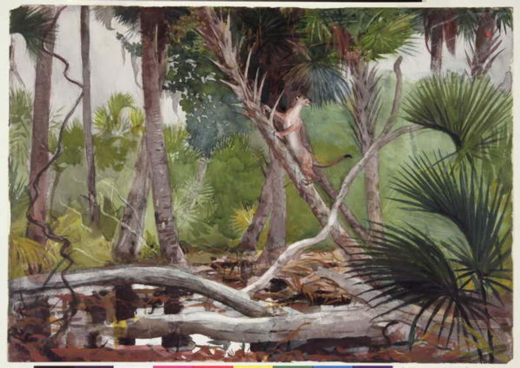 Detail of In the Jungle, Florida, 1904 by Winslow Homer
