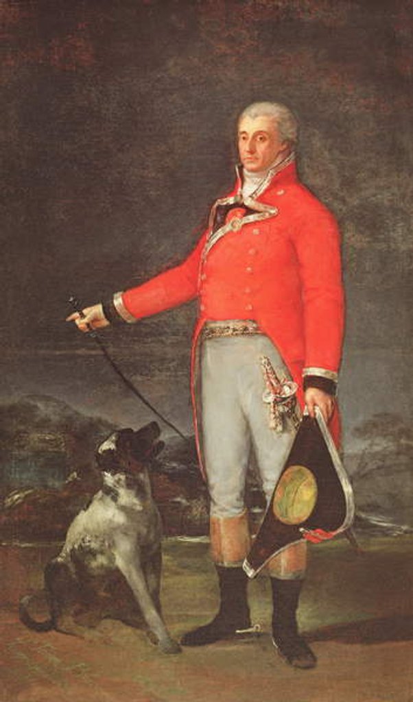 Detail of Taddeo Bravo de Rivero, 1806 by Francisco Jose de Goya y Lucientes