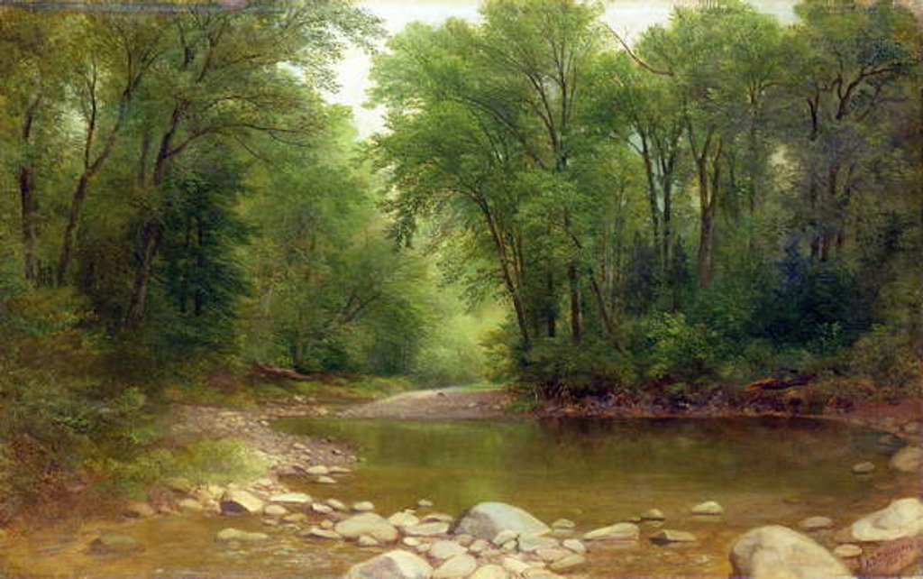 Detail of A Catskill Stream, 1867 by Asher Brown Durand