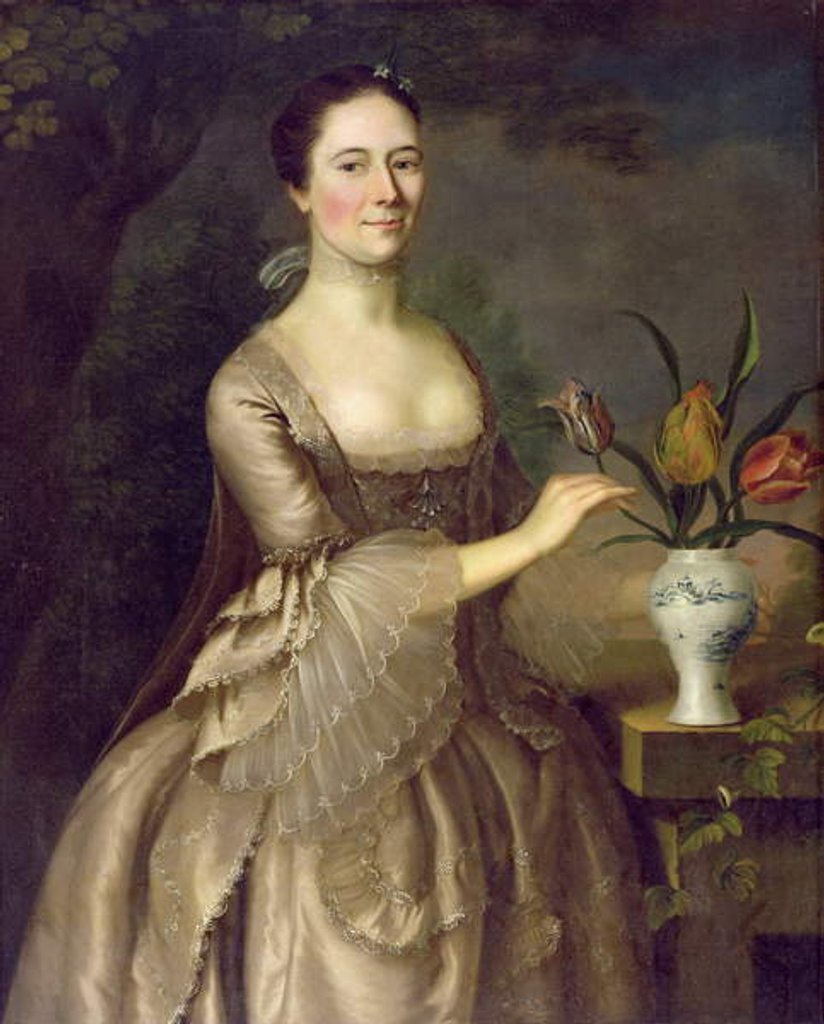 Detail of Portrait of a Woman c.1762 by Joseph Jonathan Blackburn