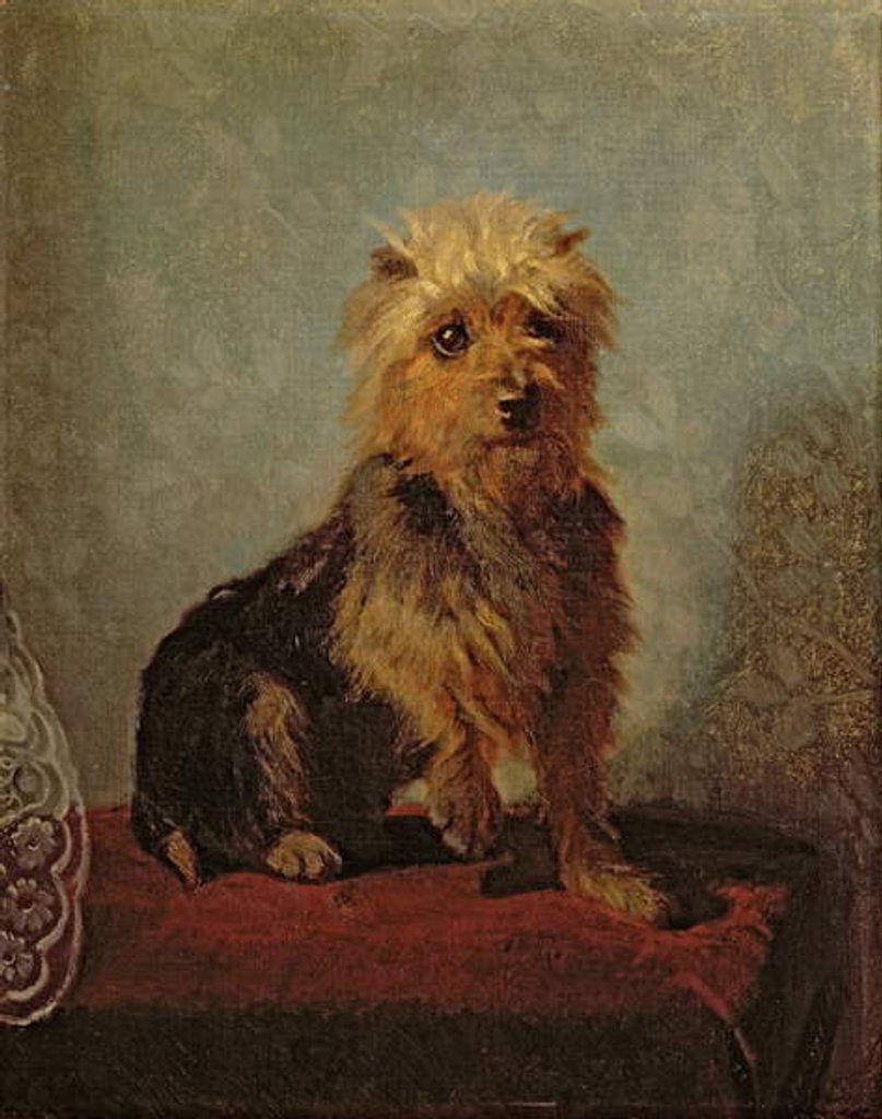 Detail of Chadwick's Dog, 1874 by Abbott Handerson Thayer