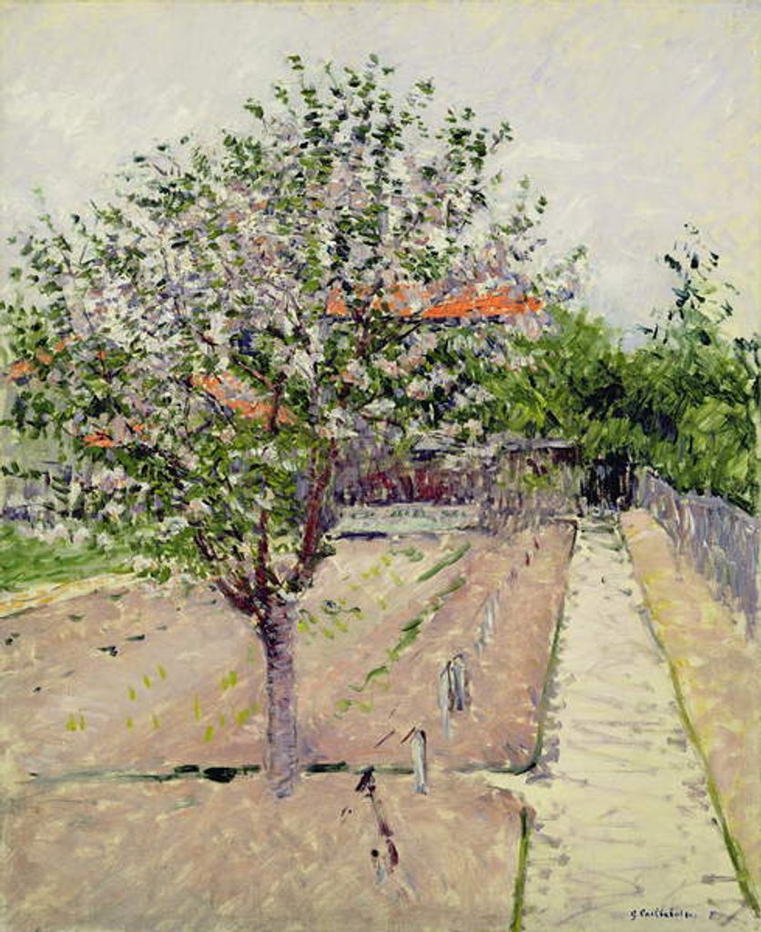 Detail of Apple Tree in Blossom, c.1885 by Gustave Caillebotte