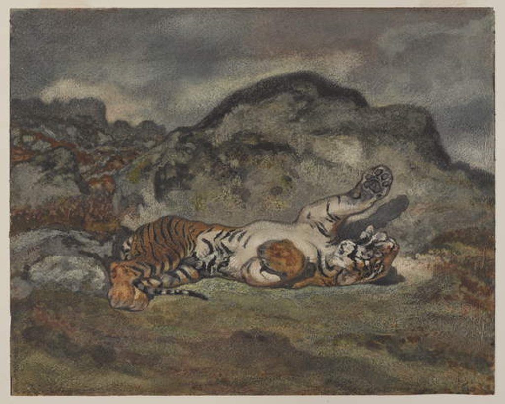 Detail of Rolling Tiger, c.1840 by Antoine Louis Barye