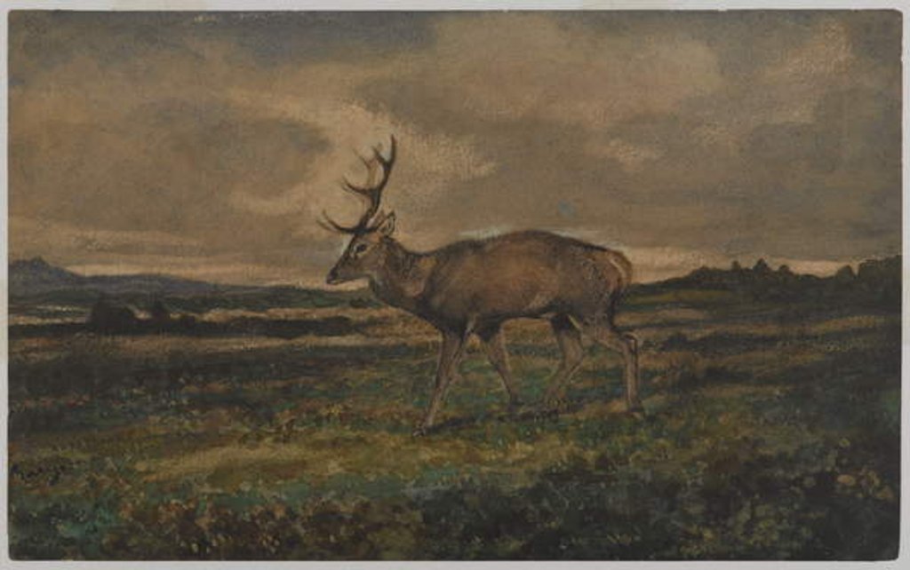 Detail of Stag Walking by Antoine Louis Barye