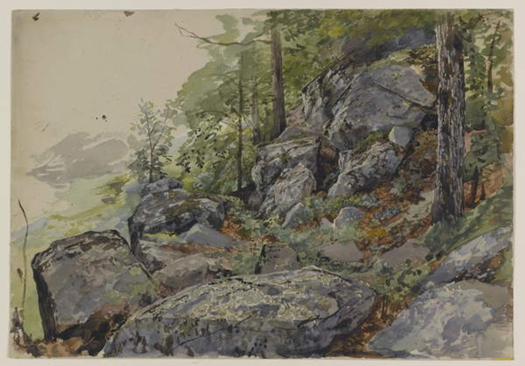 Detail of Woodland Boulders, c.1877-78 by William Trost Richards