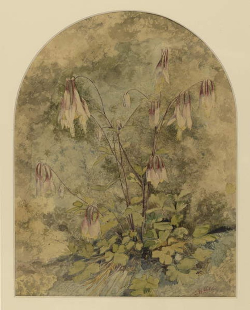 Detail of Wildflowers by John William Hill