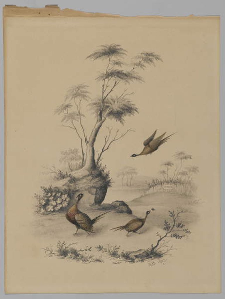 Detail of Three Pheasants, 1873 by James Ryder van Brunt