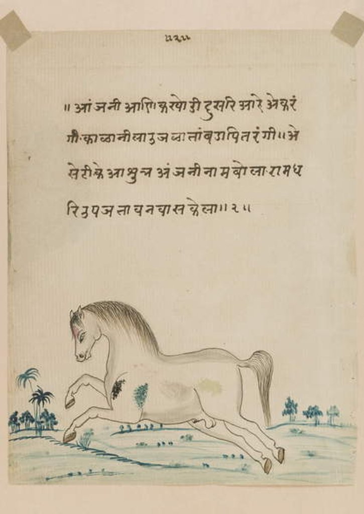 Detail of Horse by Indian School