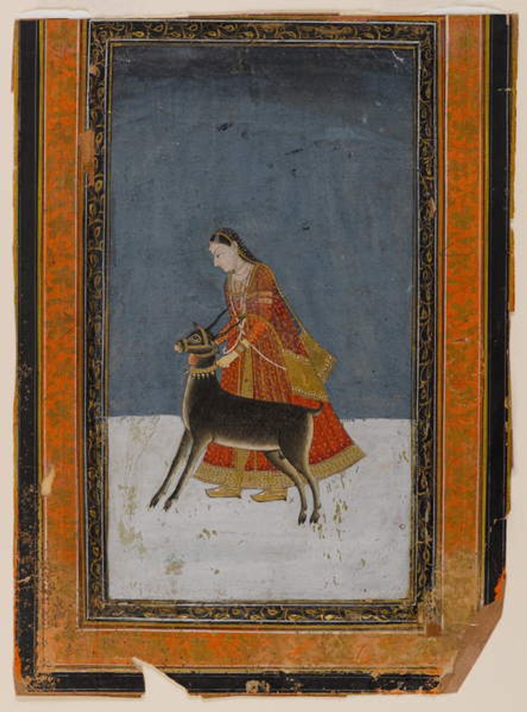 Detail of Lady with a black buck, c.1750 by Indian School