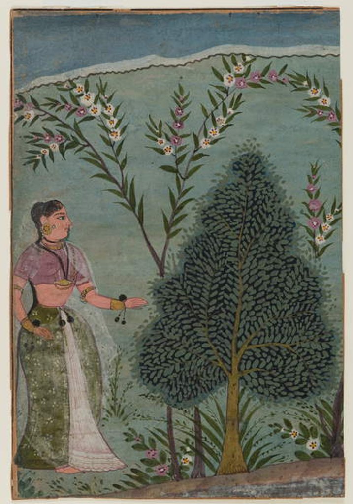 Detail of Lady in the wilderness by Indian School