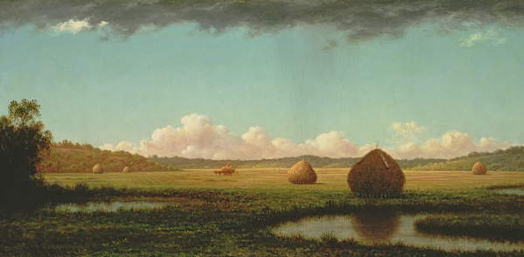 Detail of Summer Showers, c.1862-63 by Martin Johnson Heade