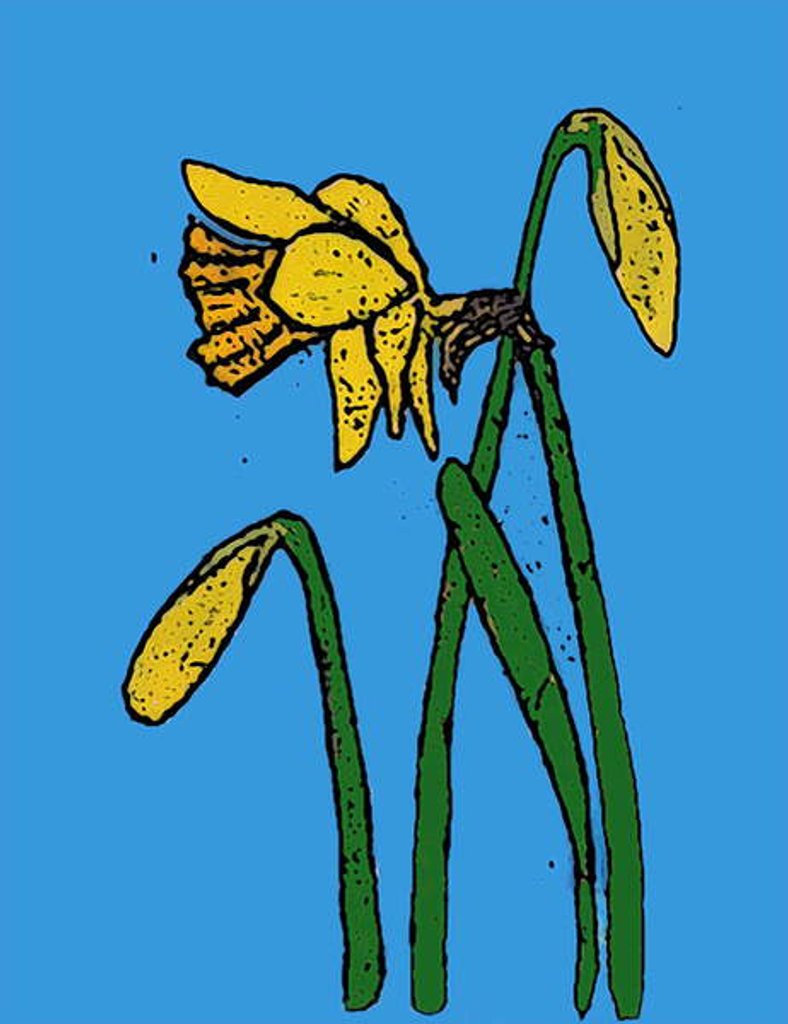Detail of Daffodils, 2015 by Sarah Thompson-Engels