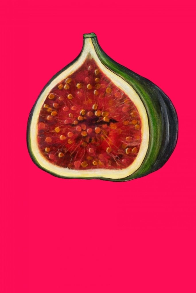 Detail of Fig, 2009 by Sarah Thompson-Engels